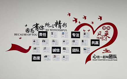 普樂斯等離子清洗機夢想墻