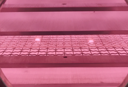 LED支架等離子清洗機(jī)