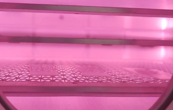 Plasma等離子清洗機