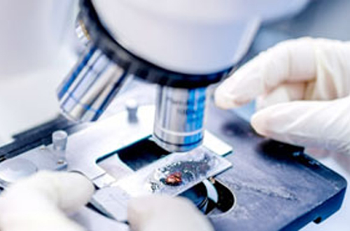 醫(yī)療設備制造領(lǐng)域