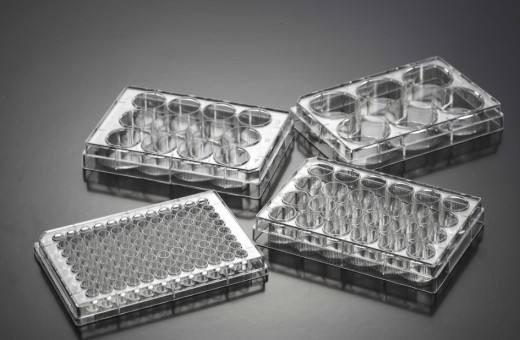 低溫等離子表面處理酶標板