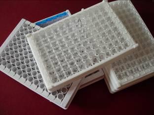 醫(yī)學免疫測試用的測試板和測試管