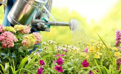 恩師所至，師恩所存-普樂斯等離子