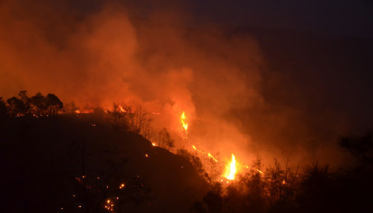 德國推出600億美元二氧化碳減排計劃,措施包括提高對電動汽車的補貼等