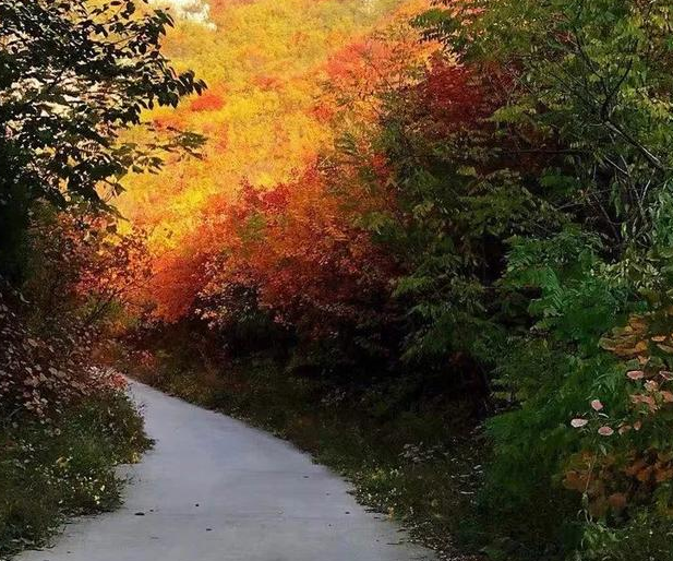 寒衣節(jié) | 一份牽掛，一份想念-普樂斯等離子