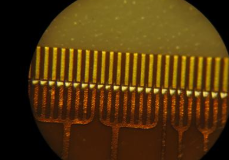 plasma清洗機(jī)處理過的金手指-普樂斯等離子表面處理