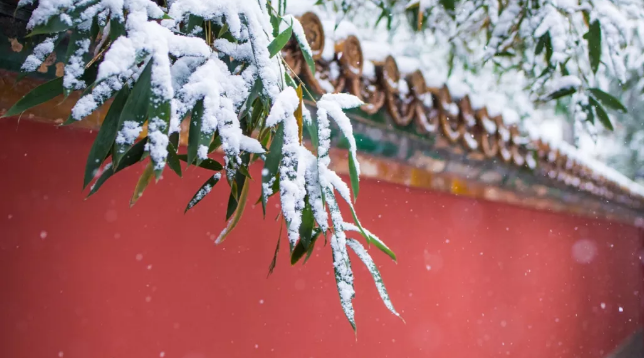 今日小寒,普樂斯等離子清洗機祝大家節(jié)日快樂
