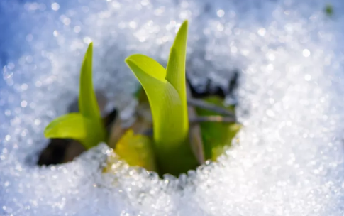 今日小寒,普樂斯等離子清洗機祝大家節(jié)日快樂