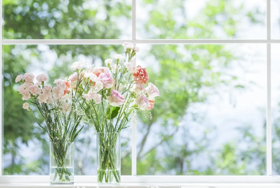 今日驚蟄，未來可期-普樂斯等離子清洗機(jī)