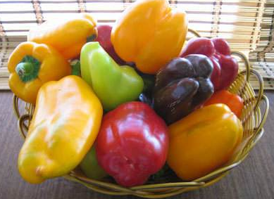 低溫等離子表面處理機(jī)的誘變育種技術(shù)是一項什么樣的應(yīng)用？-普樂斯等離子表面處理機(jī)