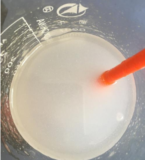 低溫等離子處理技術(shù)制備變性淀粉-普樂(lè)斯等離子表面處理機(jī)