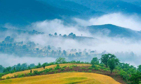 今日小滿，小得盈滿-普樂斯等離子清洗機