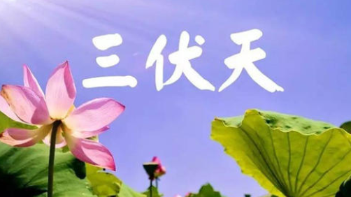 入伏，或開(kāi)啟蒸煮模式-普樂(lè)斯等離子清洗機(jī)