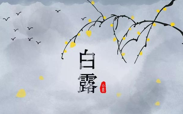 今迎白露，盛夏退場(chǎng)-普樂斯等離子清洗機(jī)