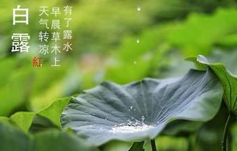 今迎白露，盛夏退場(chǎng)-普樂斯等離子清洗機(jī)