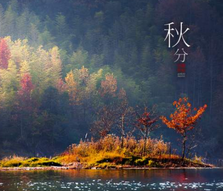 2020秋分-普樂(lè)斯等離子清洗機(jī)