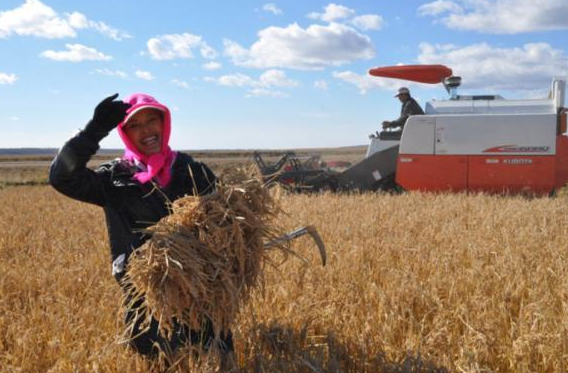 2020秋分-普樂(lè)斯等離子清洗機(jī)