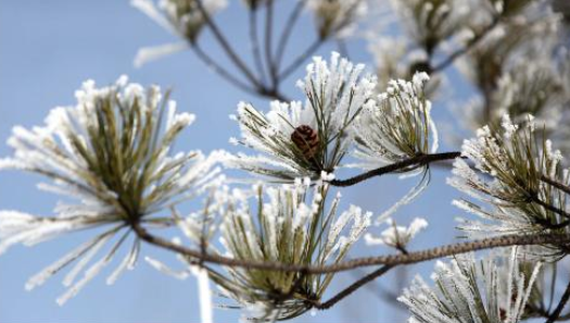 2020年立冬時節(jié)