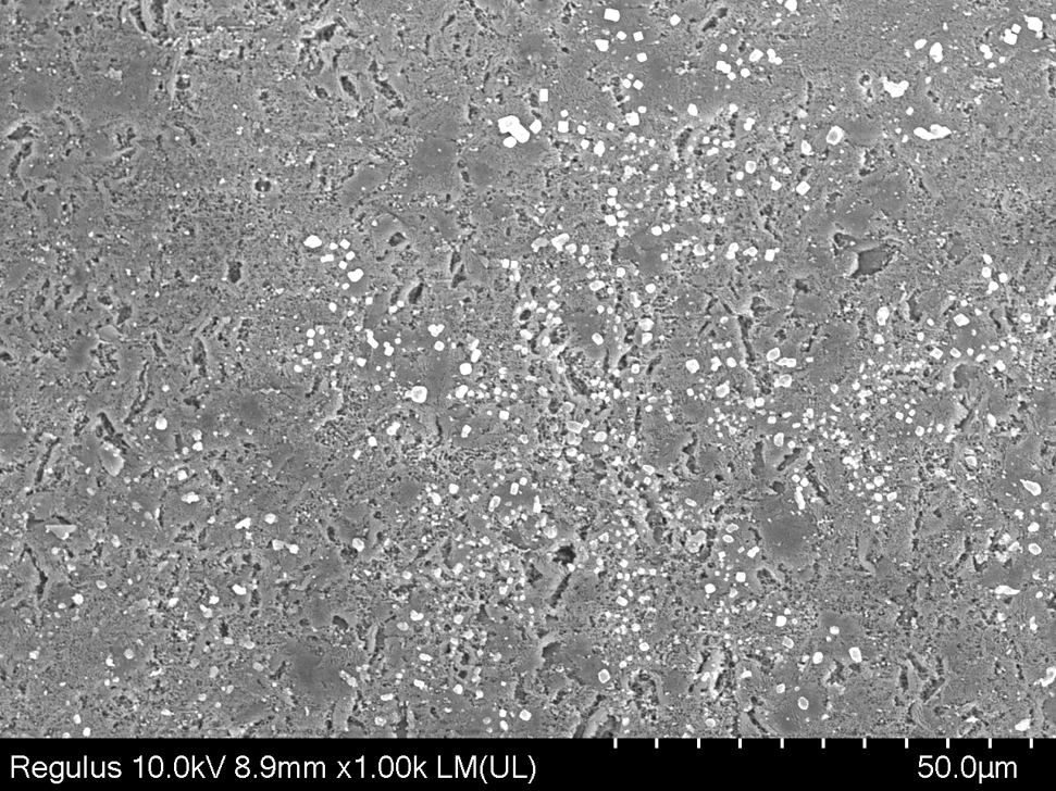 【普樂斯】材料表面微觀結(jié)構(gòu)